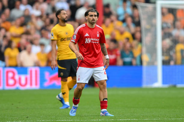 种成熟和可 种成熟和可